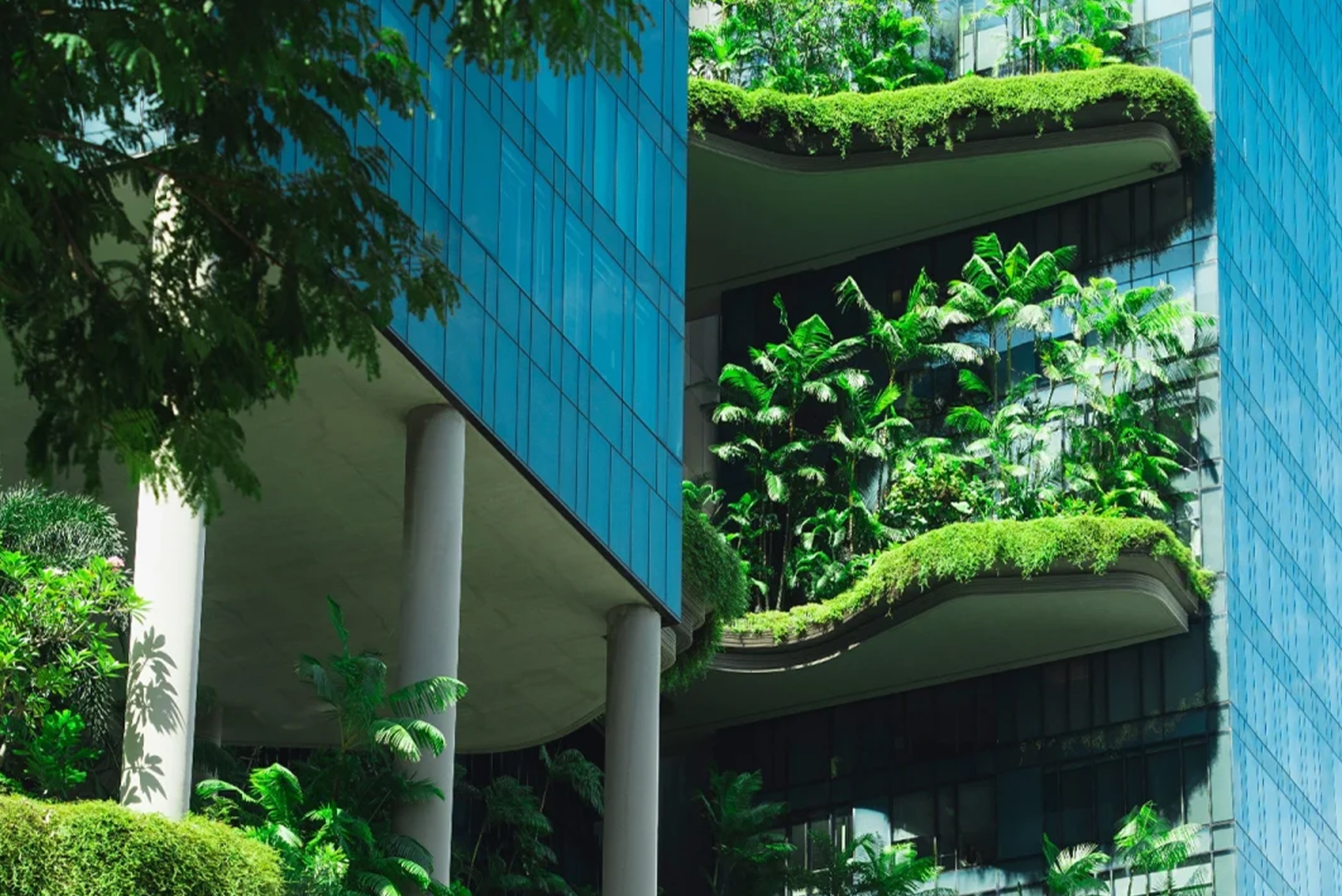 江苏常州 |《国家碳达峰试点(常州)实施方案》政策解读