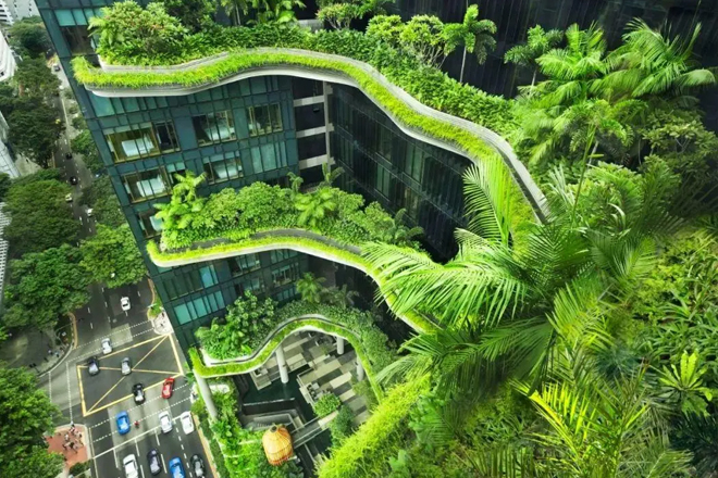 南京5部门联合发布《南京市碳普惠管理实施方案》