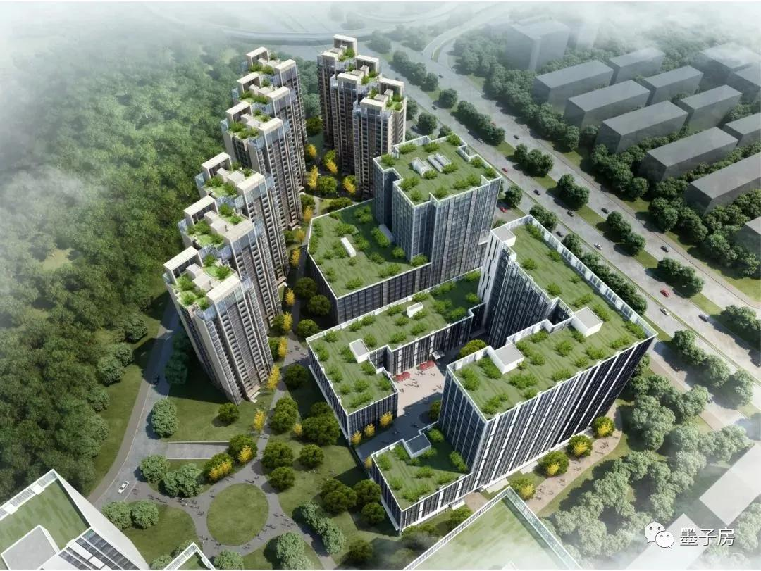 《人民日报》发表倪虹署名文章：推动房地产高质量发展