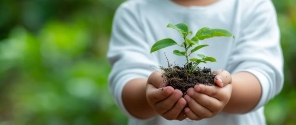 深度解读：国家首批零碳园区试点