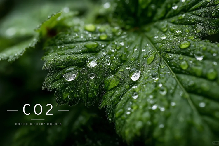 浙江发布《低(零)碳园区建设实施方案(征求意见稿)》